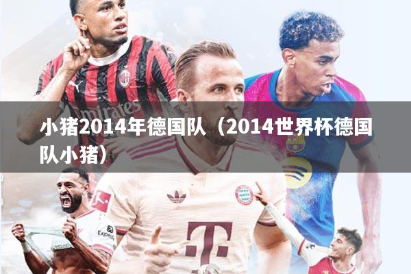 小猪2014年德国队（2014世界杯德国队小猪）